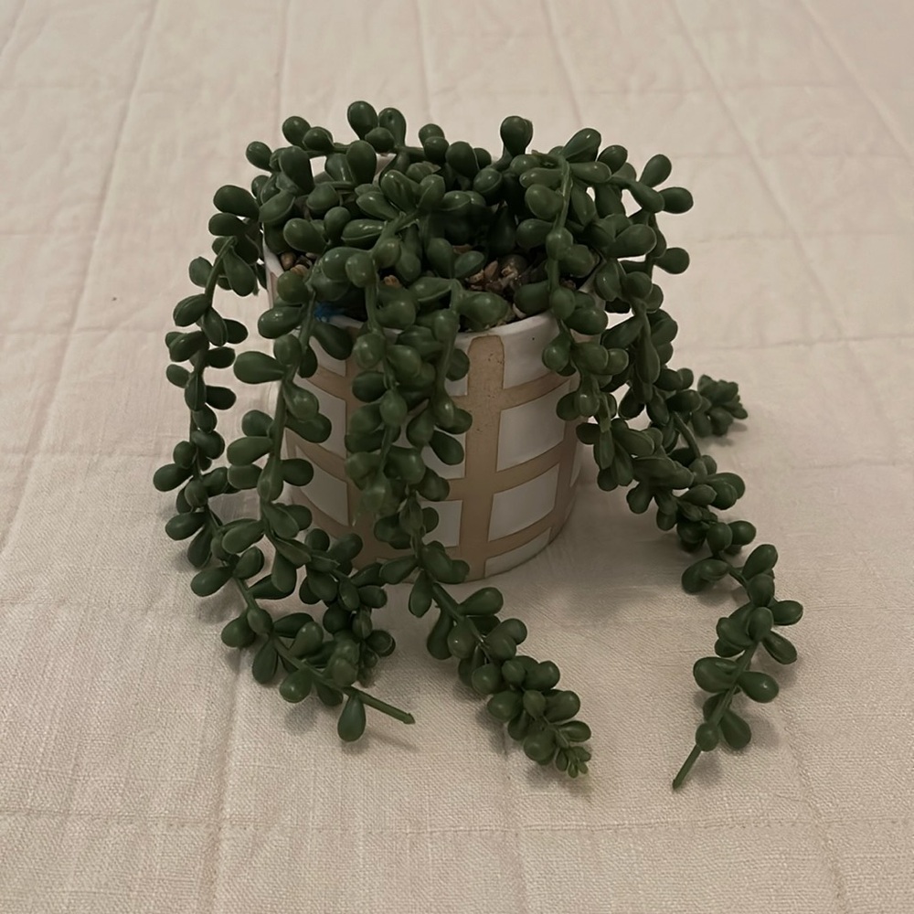 Fake plant. Decor. Kohls. Tan and green.